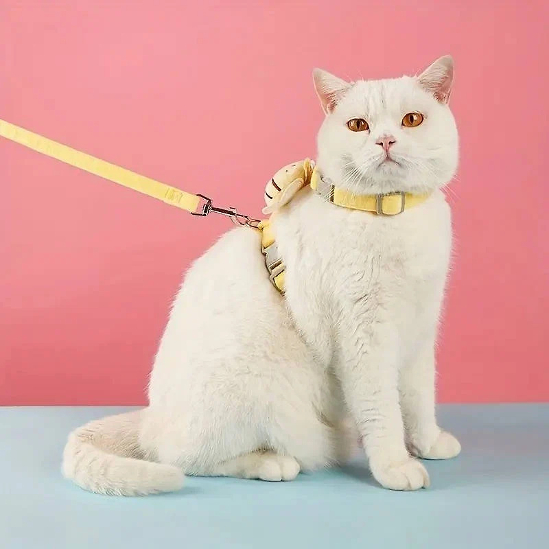 cat-collar-and-harness-41192528_3.jpg